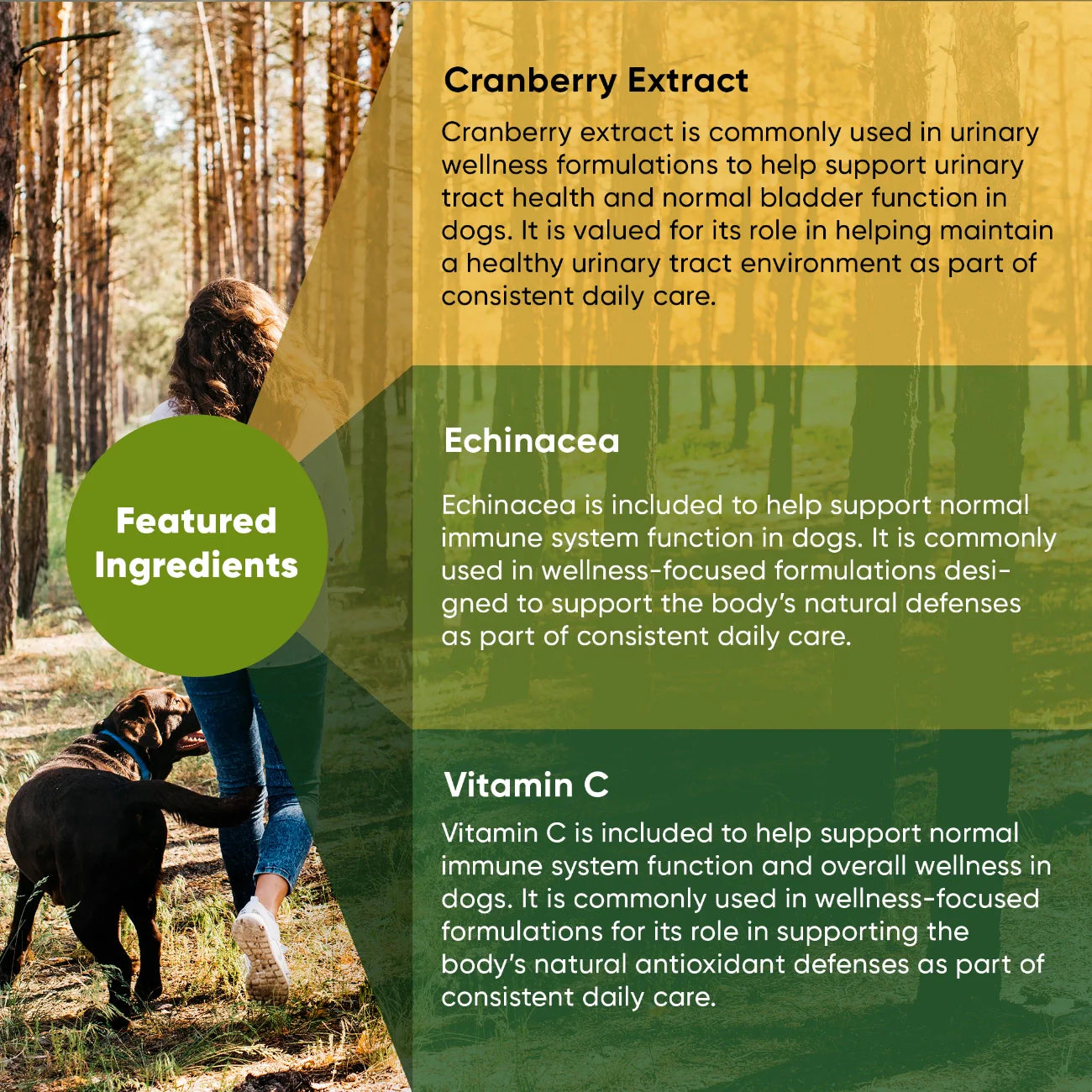 Urinary & Bladder Support Supplement for Dogs — Cranberry, Echinacea & Vitamin C