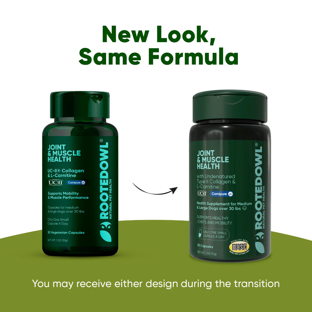 Joint Supplement for Medium & Large Dogs — UC-II® Collagen + L-Carnitine